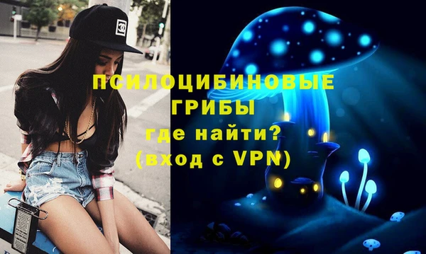спиды Алексеевка