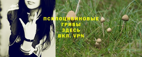 спиды Алексеевка